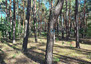 Morizon WP ogłoszenia | Działka na sprzedaż, Józefów Ziarnista, 1200 m² | 1989