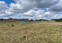 Morizon WP ogłoszenia | Działka na sprzedaż, Nowa Wieś, 1501 m² | 7836