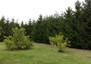 Morizon WP ogłoszenia | Działka na sprzedaż, Supraśl, 3291 m² | 8631
