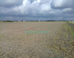 Morizon WP ogłoszenia | Działka na sprzedaż, Domaniewek, 8400 m² | 7764