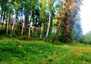 Morizon WP ogłoszenia | Działka na sprzedaż, Grzegorzewice, 13800 m² | 1417