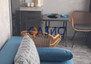 Morizon WP ogłoszenia | Kawalerka na sprzedaż, 53 m² | 0537