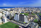 Morizon WP ogłoszenia | Kawalerka na sprzedaż, 88 m² | 6164